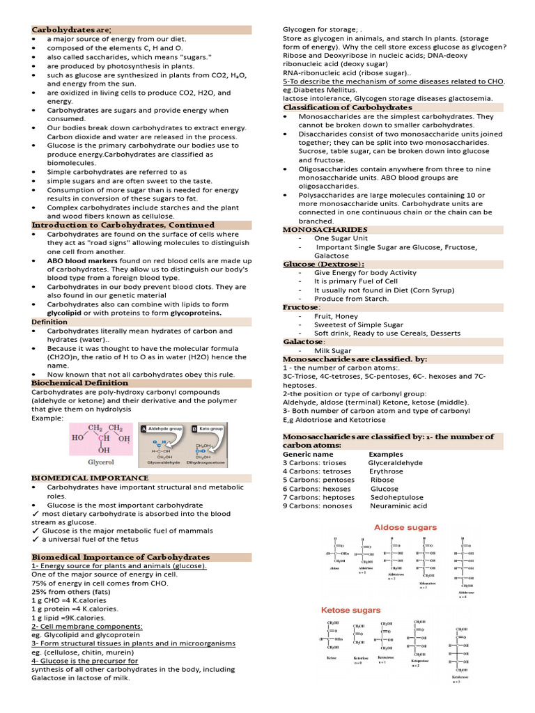 Biochem Long | PDF
