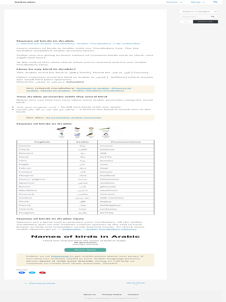 Names of Birds in Arabic - Selfarabic | PDF