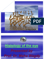 Histology of The Eye