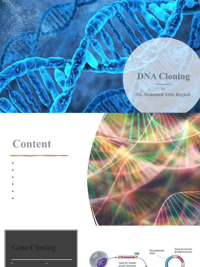 DNA Cloning | PDF