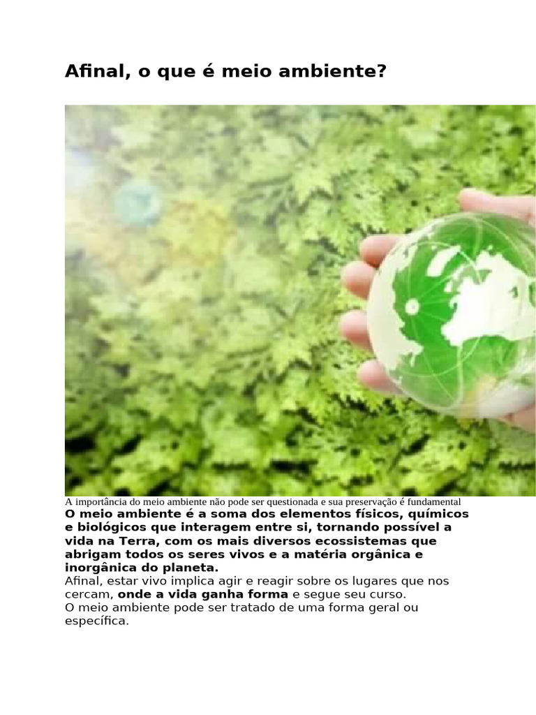Afinal o Que É o Meio Ambiente | PDF