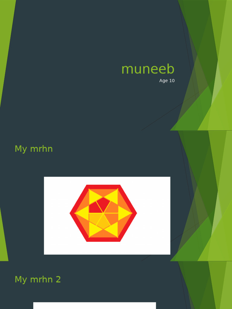 Muneeb | PDF