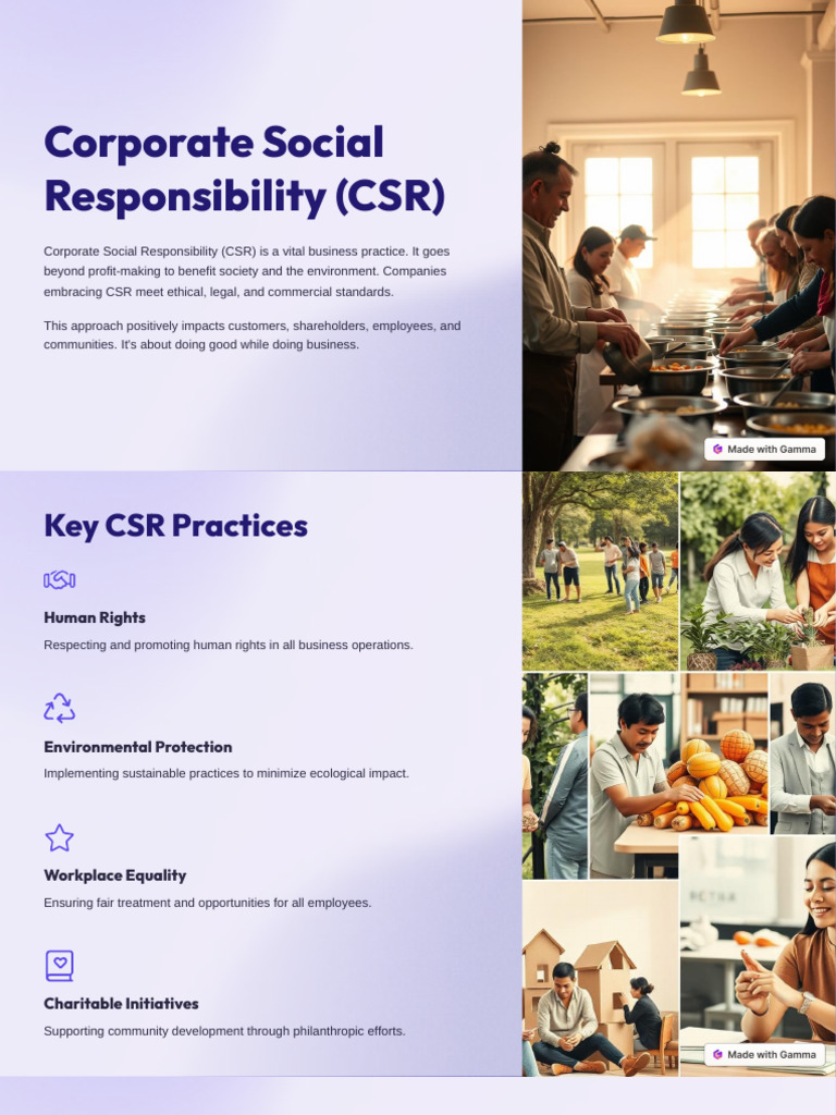 Understanding Corporate Social Responsibility | PDF