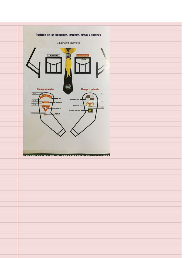 Insignias | PDF