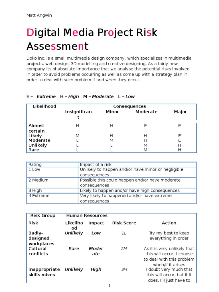 Media Project Risk Assessment Guide | PDF | Risk | Cognition