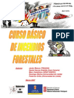 Curso Básico de Incendios Forestales