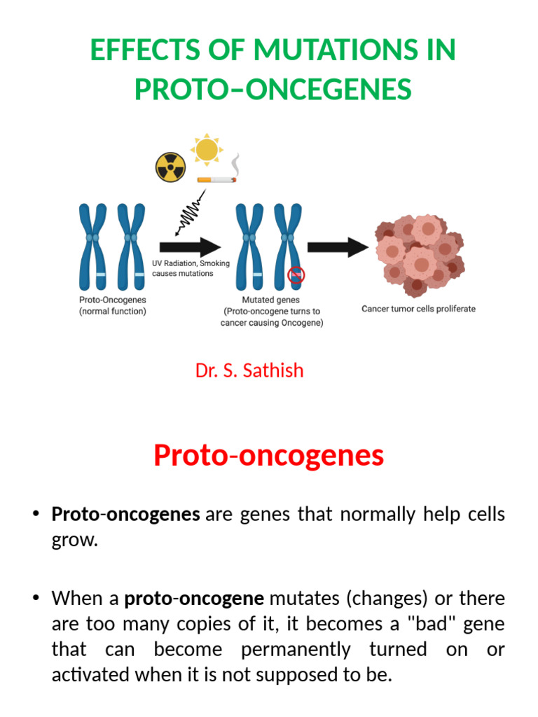 Effects of Mutations in Proto-Oncegenes & Karyotyping | PDF