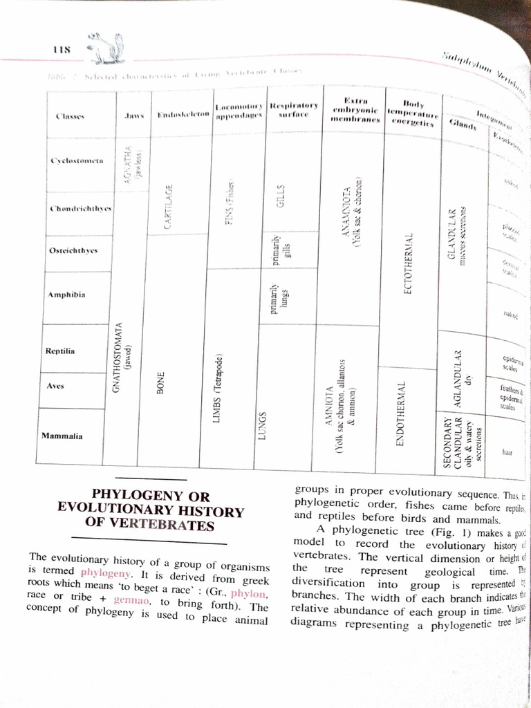 Pisces | PDF