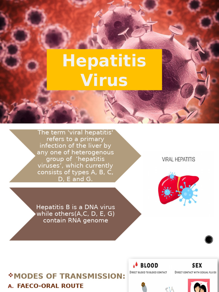 HEPATITIS Seminar Group Final | PDF