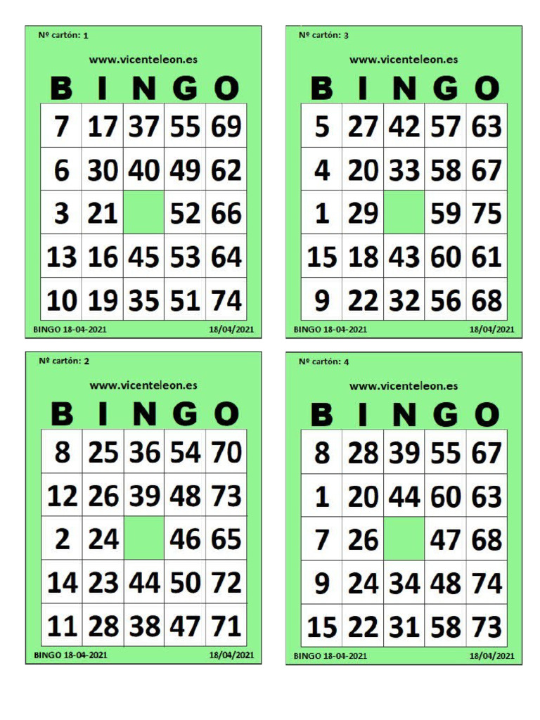BINGO | PDF