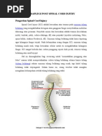 Download Pengertian Spinal Cord Injury by Yohana Kecil SN77769970 doc pdf