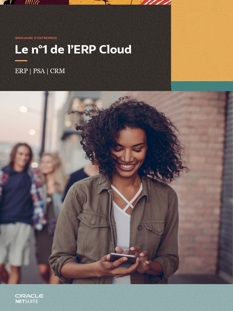 NetSuite Livre Francais | PDF