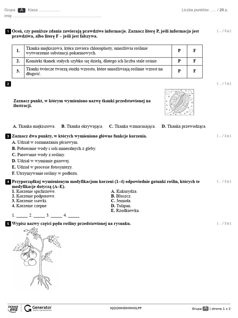Test Klasa V. Tkanki I Organy Roślinne Test | PDF