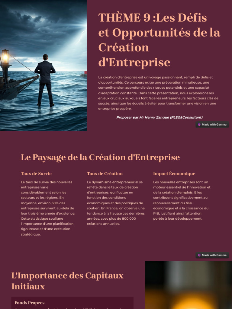 Les Defis Et Opportunites de La Creation DEntreprise | PDF