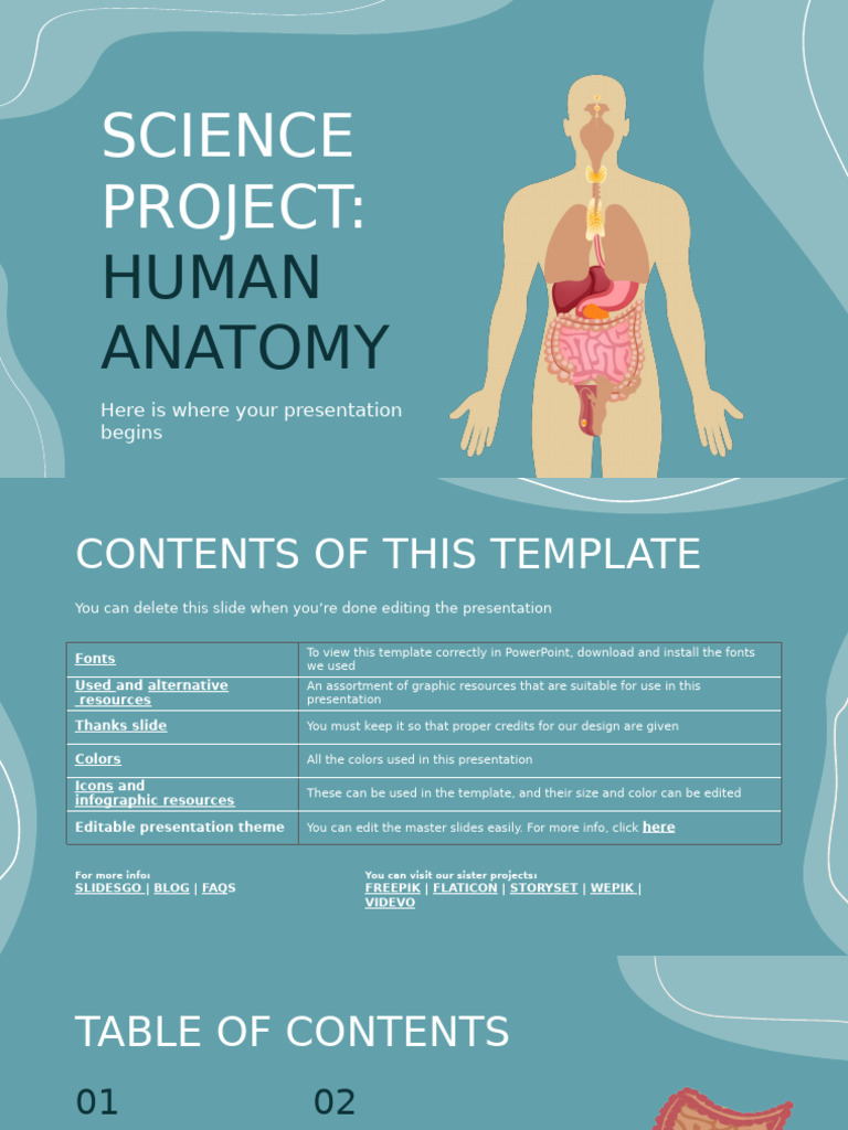 Science Project - Human Anatomy by Slidesgo | PDF
