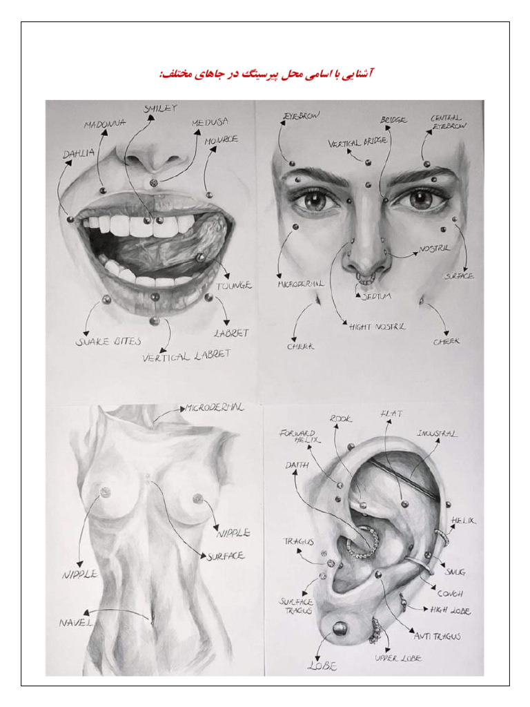 Piercing Notes | PDF
