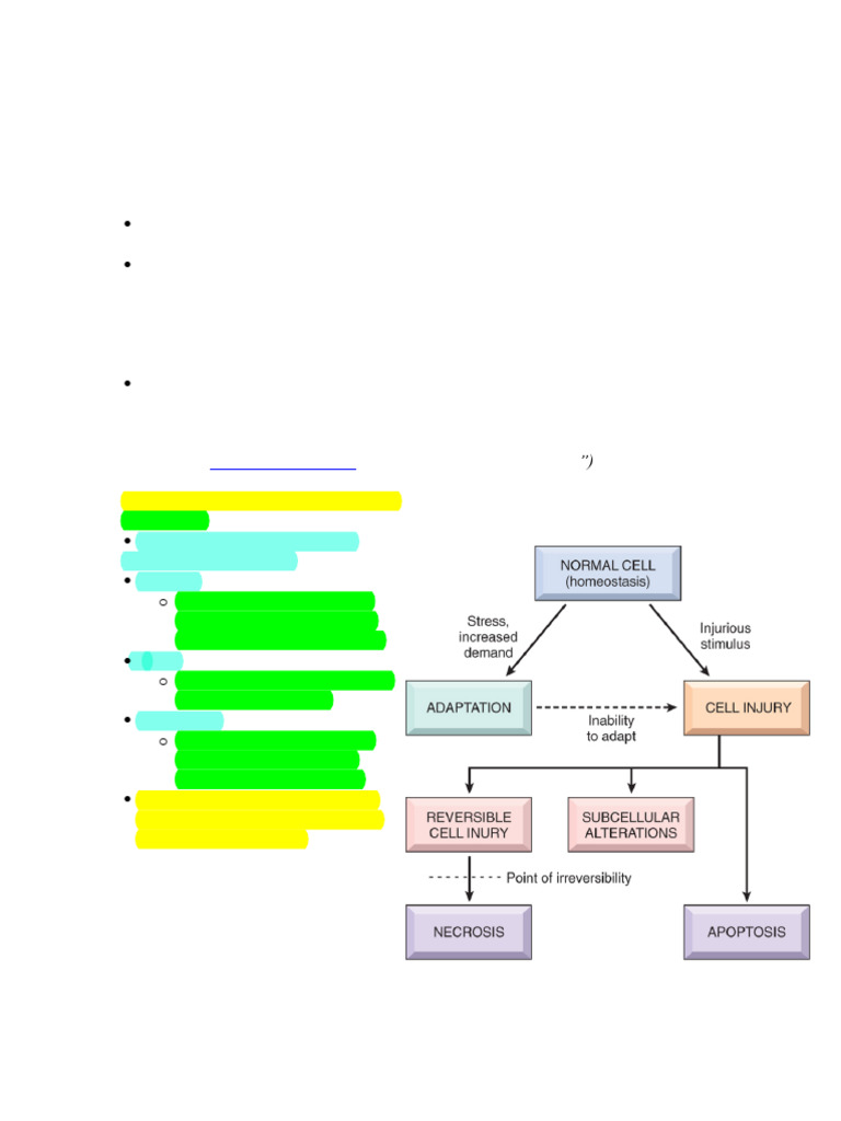 Lecture 2 Outline Cell Adaptations and Accumulation | PDF | Cell ...