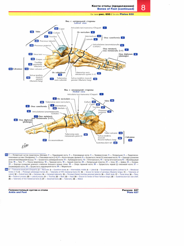 Img 005 | PDF