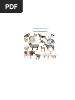 Шұлықтағы жалаңаш Тина Канделаки