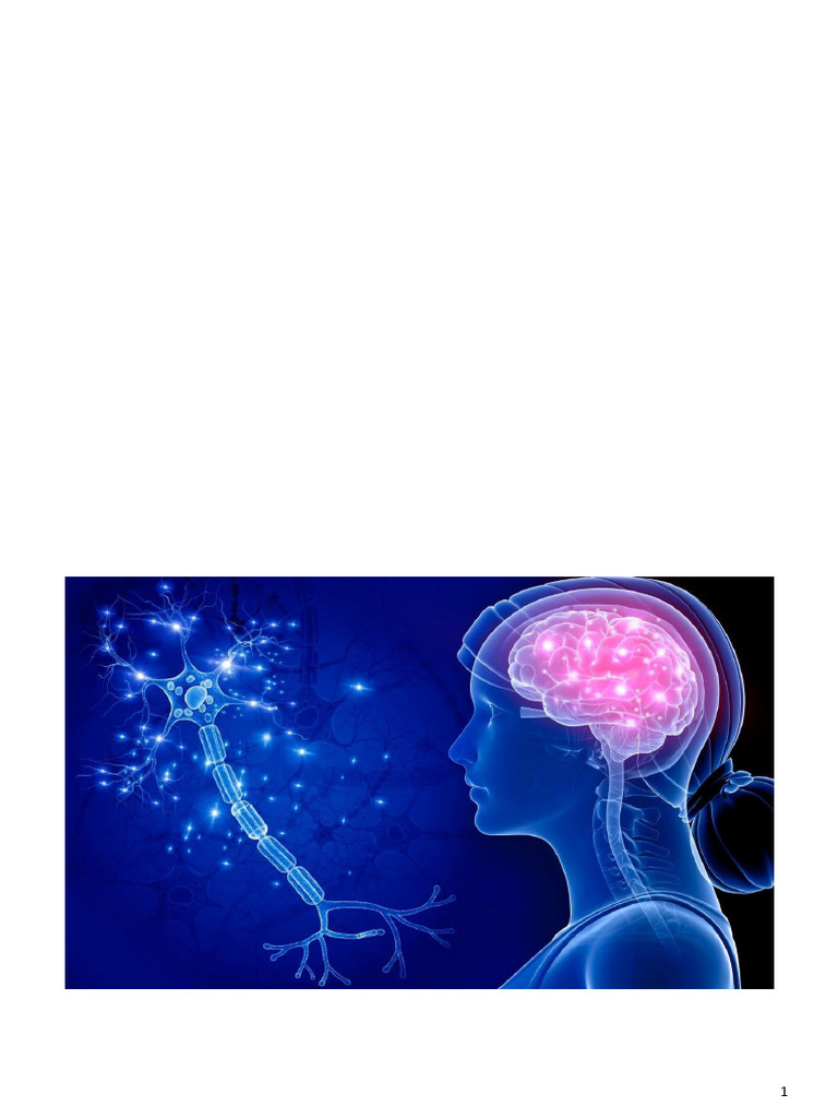 Unidad 5. Sistema Nervioso y Hormonal. Alumno | PDF