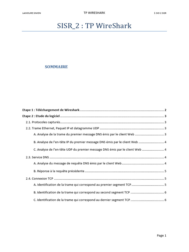 Guide d'Analyse Wireshark SISR | PDF | Internet Protocols | Domain Name ...