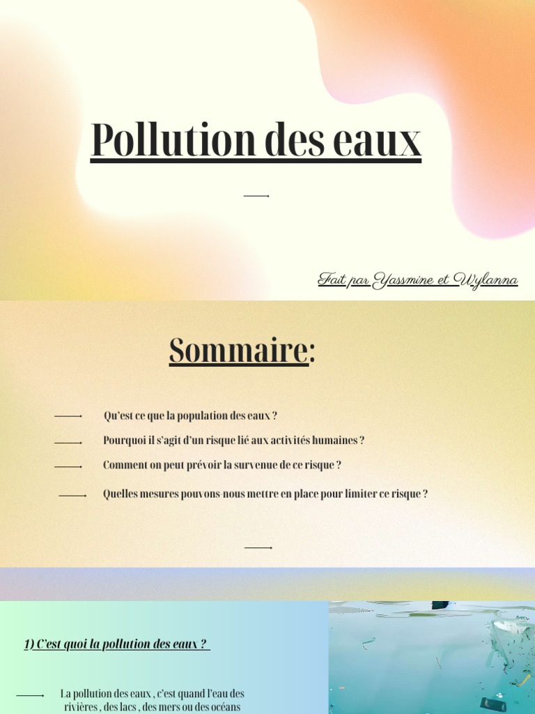 Pollution Des Eaux 20241005 222752 0000 Compressed | PDF