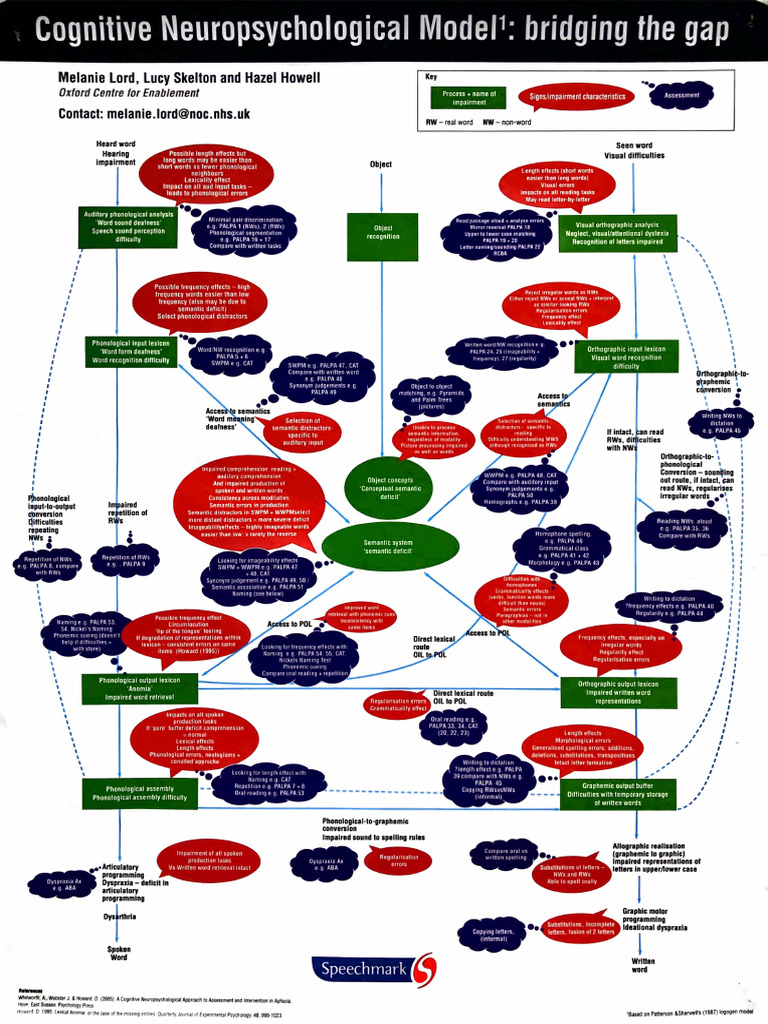 Cognitive Neuropsychological Model | PDF
