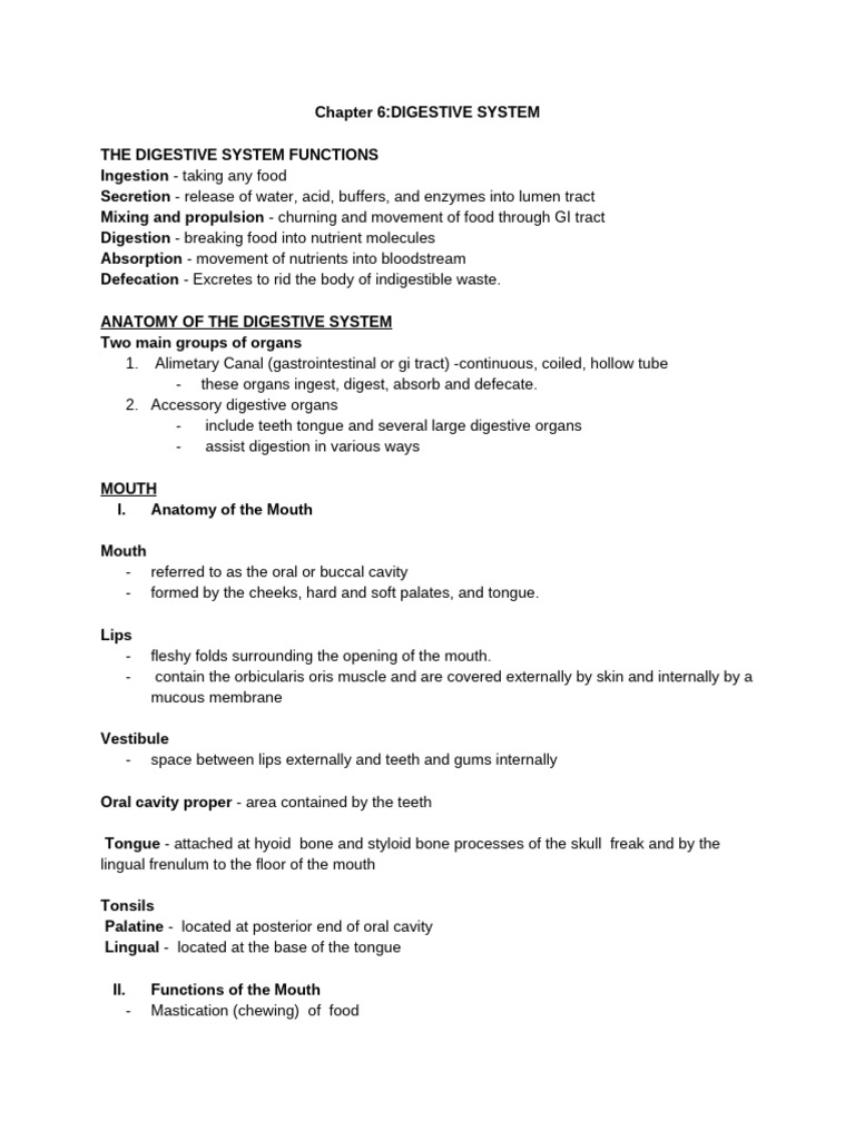 Digestive System | PDF