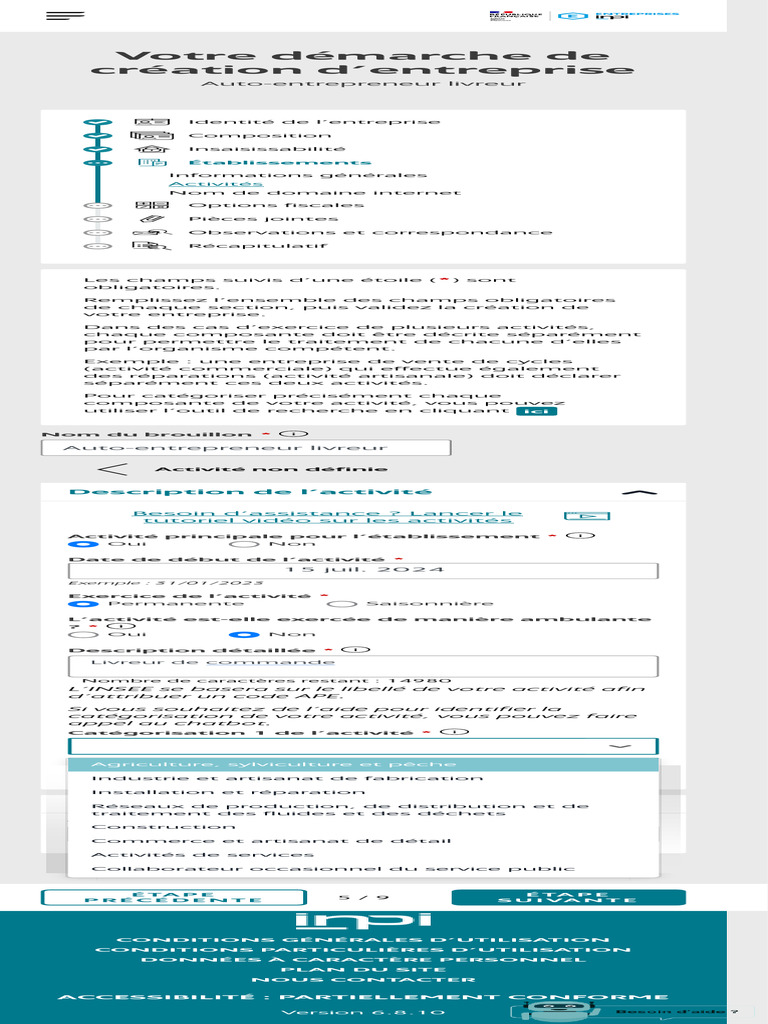 Brouillon de Formalité - INPI - Guichet Unique | PDF