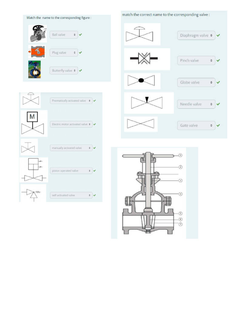 Valve Test Quiz | PDF