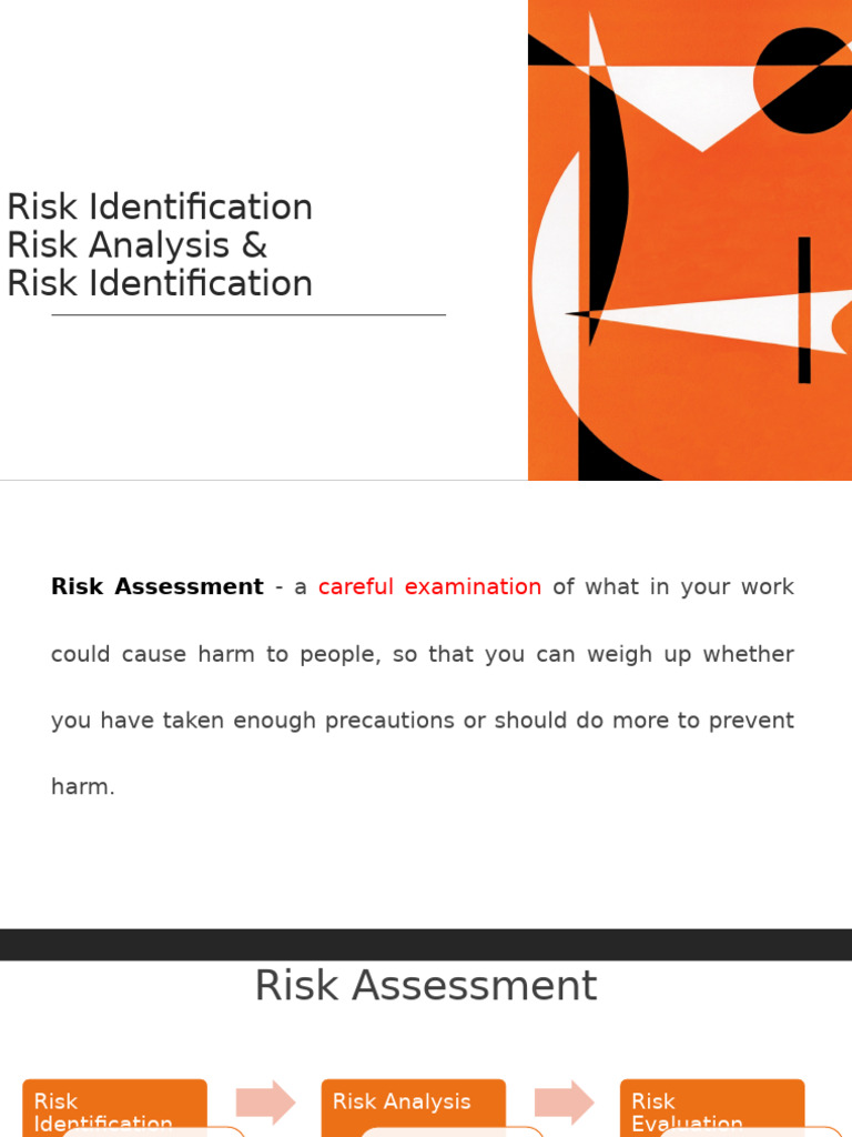 Risk Ch. 1 | PDF