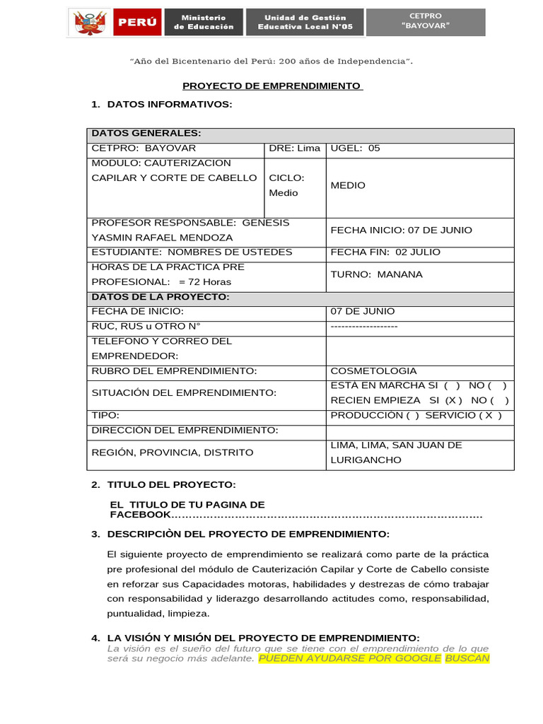 Ayuda para El Proyecto de Emprendimiento 2021 Ok | PDF