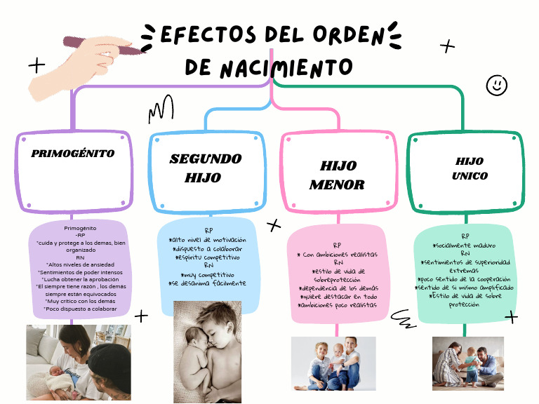 Grafica Mapa Conceptual Esquema Simple Multicolor | PDF