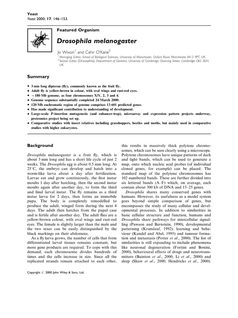 Drosophila Melanogaster | PDF