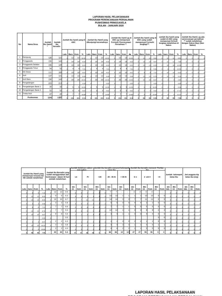 Laporan P4K | PDF