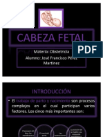 Cabeza Fetal Obstetricia