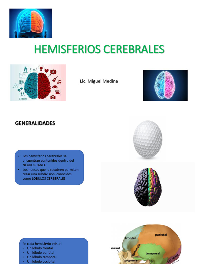 Hemisferios Cerebrales | PDF