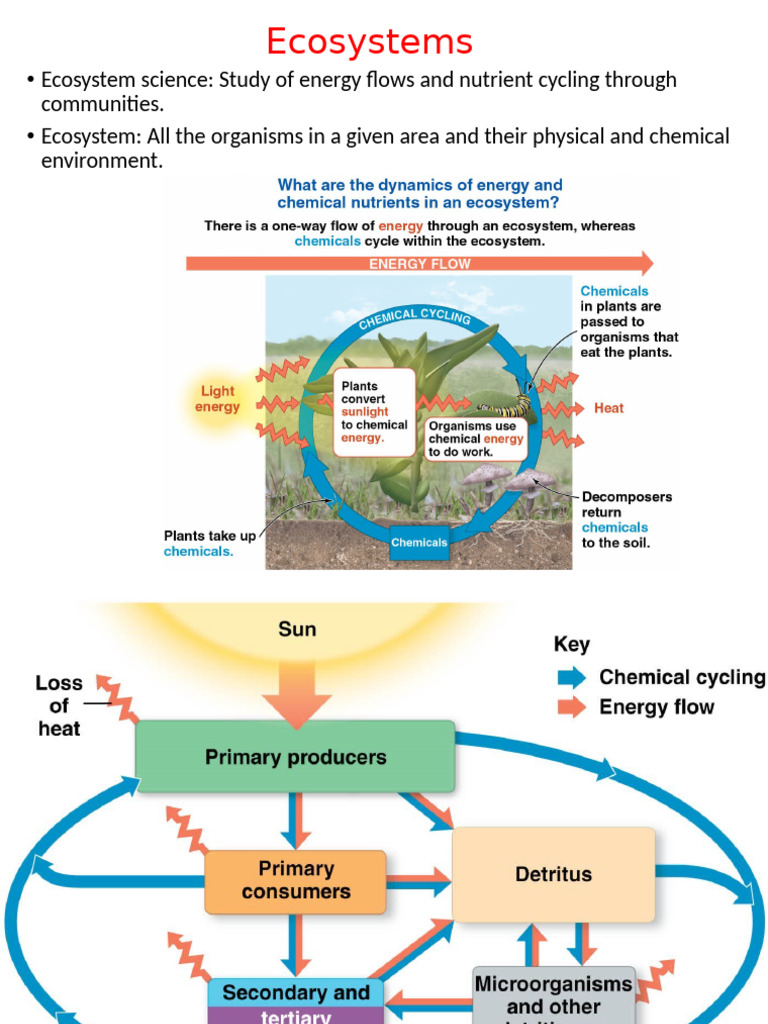 Ecosystems And Conservation Biology Pdf