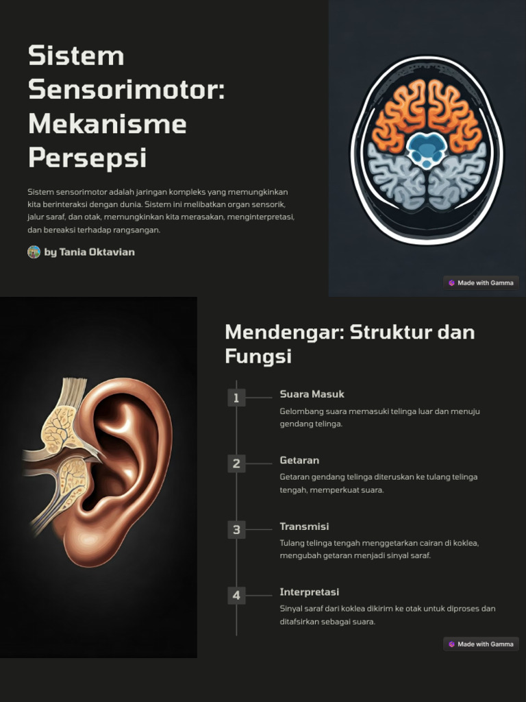 Sistem Sensorimotor Mekanisme Persepsi | PDF