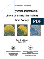 Aminoglycoside Resistance in Clinical Gram-Negative Isolates From Norway