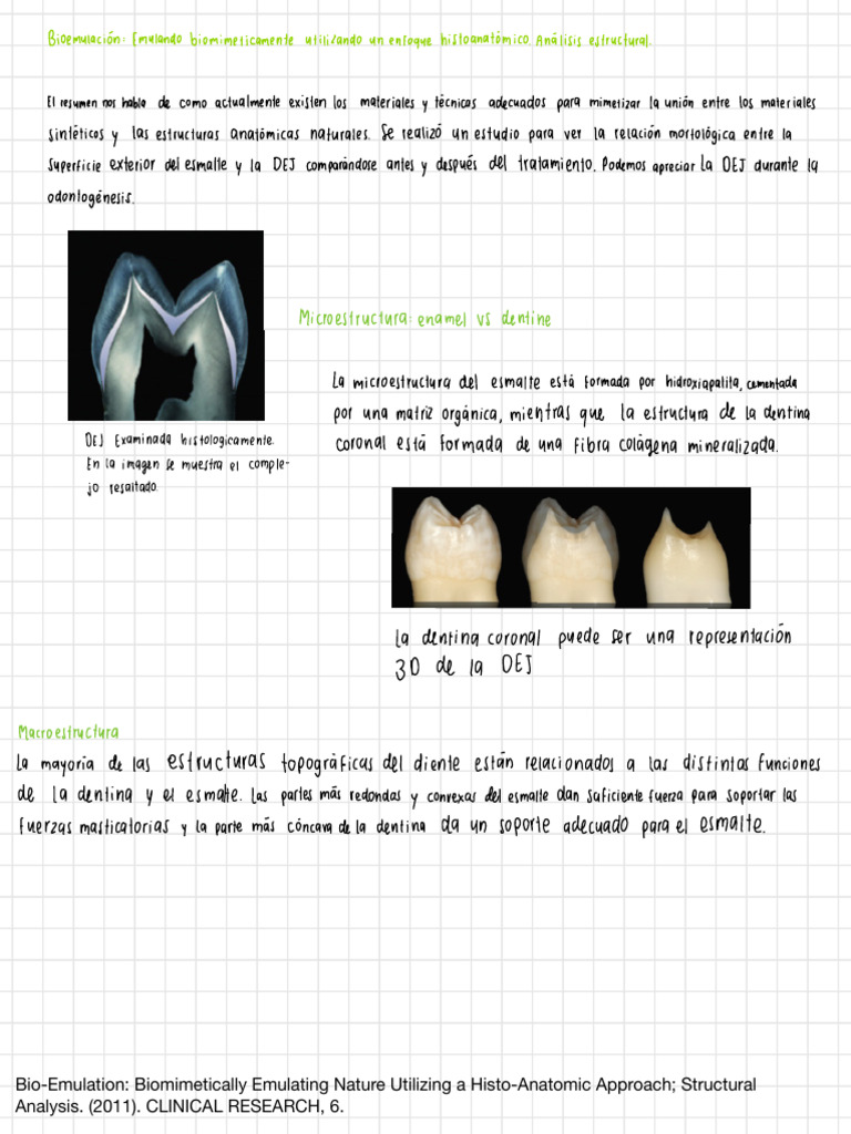 Bio-Emulation - Biomimetically Emulating Nature Utilizing A Histo ...