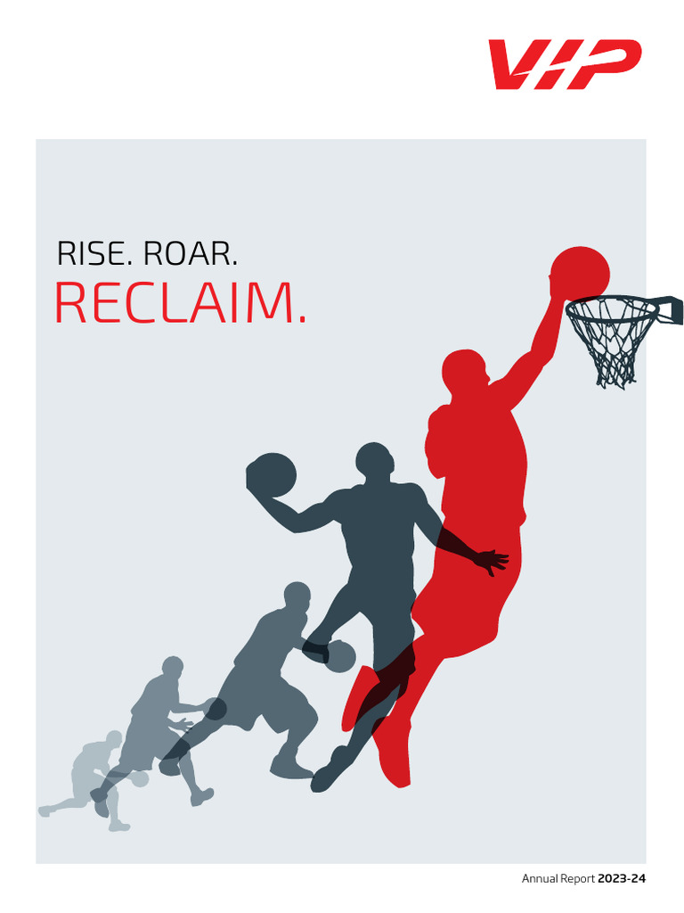 Vip Ar - 2024 | PDF | Brand | E Commerce