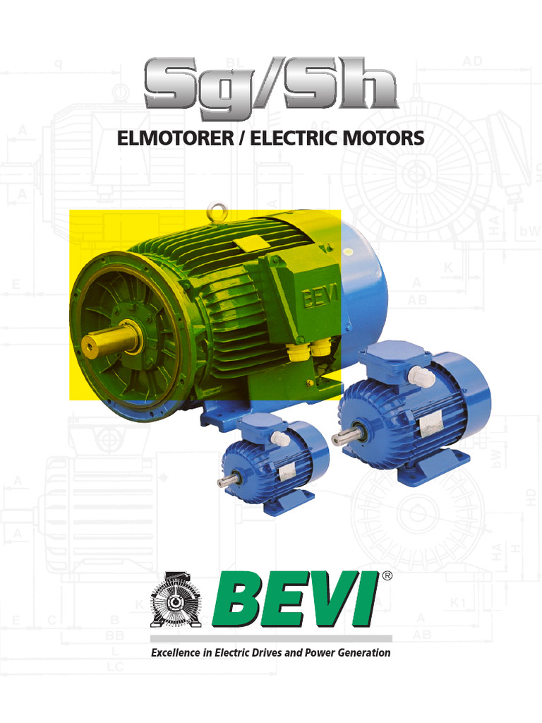 1_Bevi Electric Motor | PDF