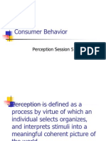 Perception 6