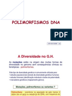 Polimorfismos DNA - Aula (O Trabalho Não É Meu)