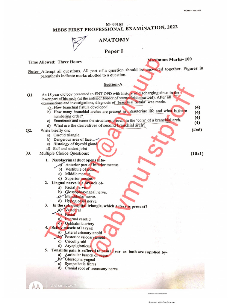KGMU 1st Proff Pyq 21 and 22 Batch | PDF