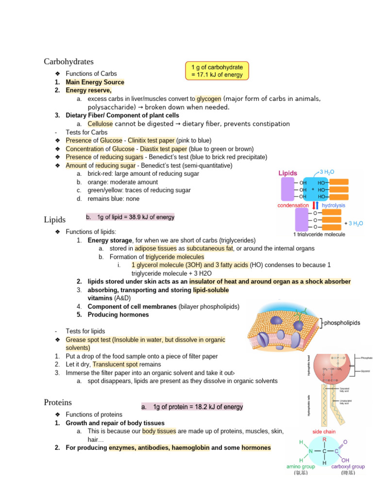 Bio Notes Common | PDF