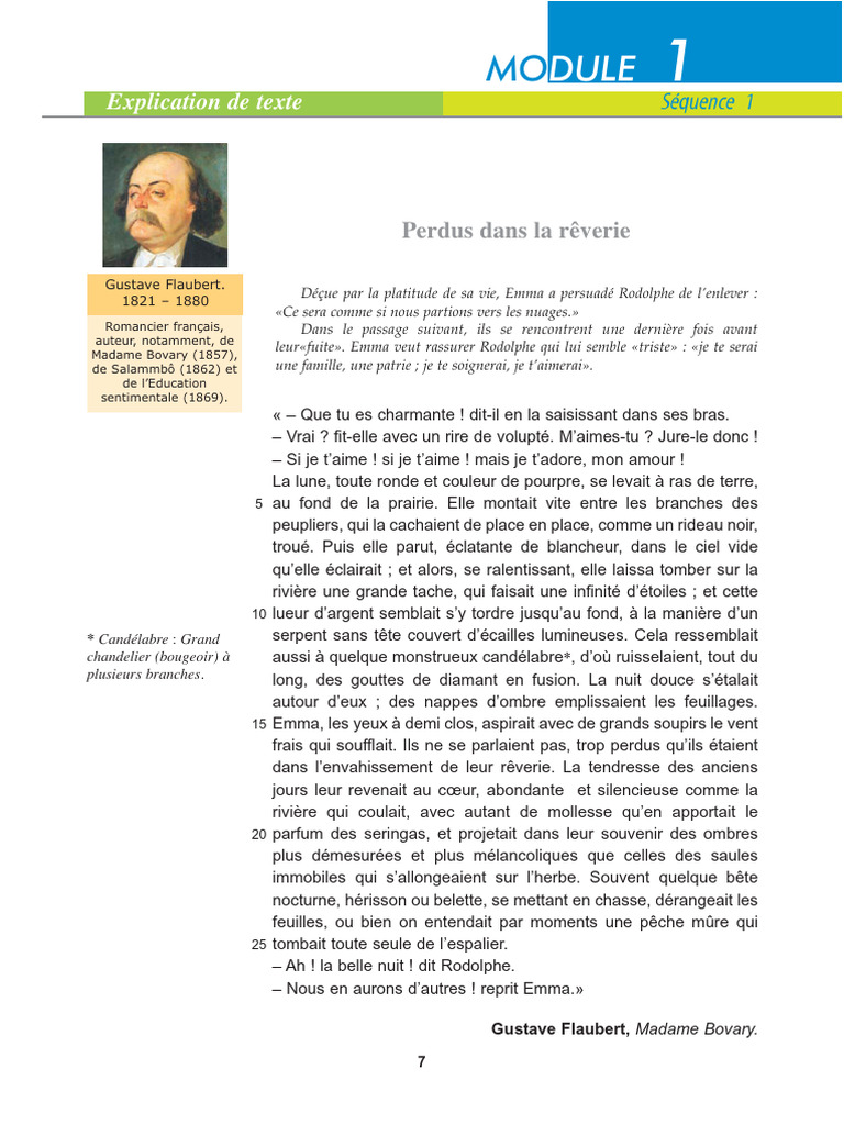 Explication de Texte: Perdus Dans La Rêverie | PDF