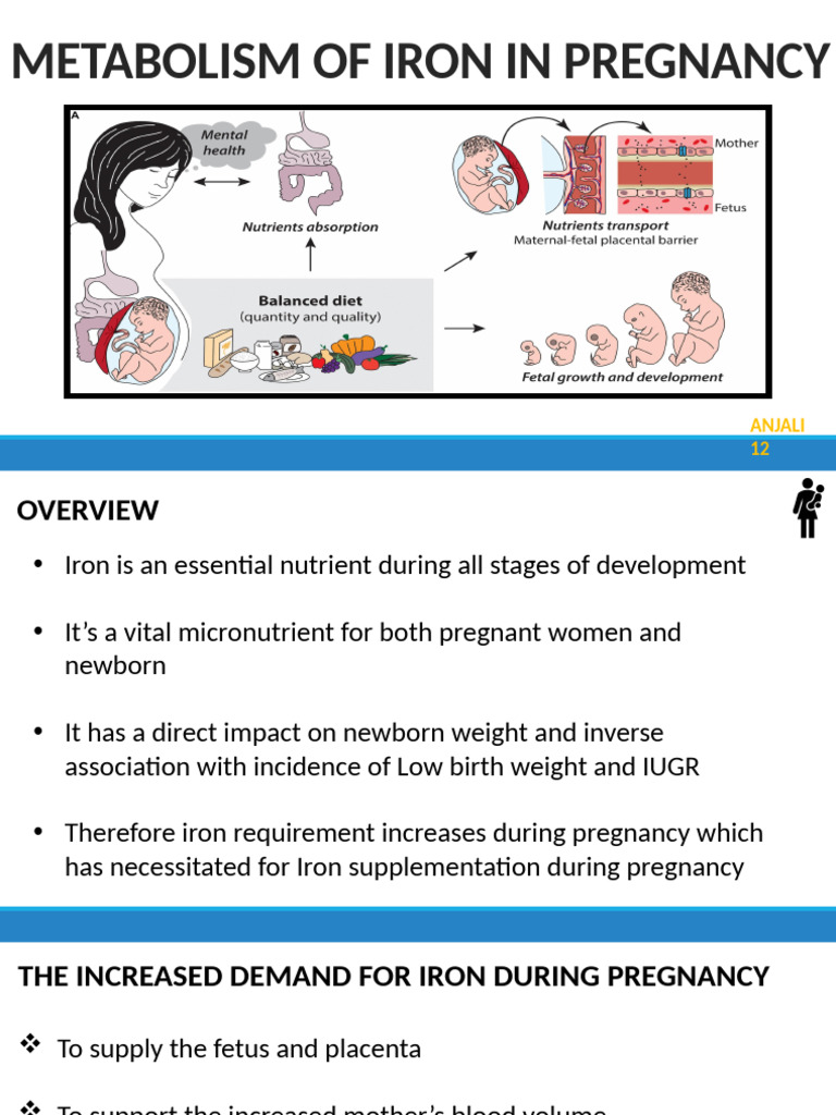 Metabolism of Iron in Pregnancy | PDF