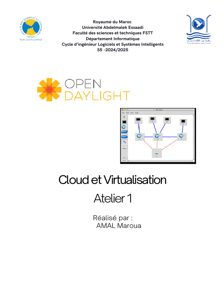 SDN avec Mininet et OpenDaylight | PDF | Data Transmission | Network ...